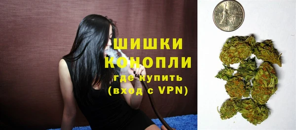индика Аркадак