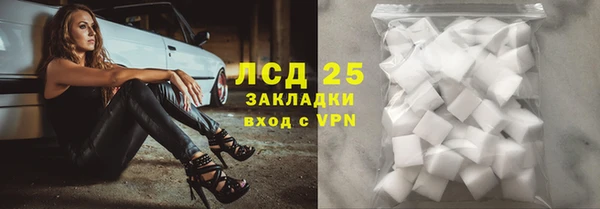 индика Аркадак
