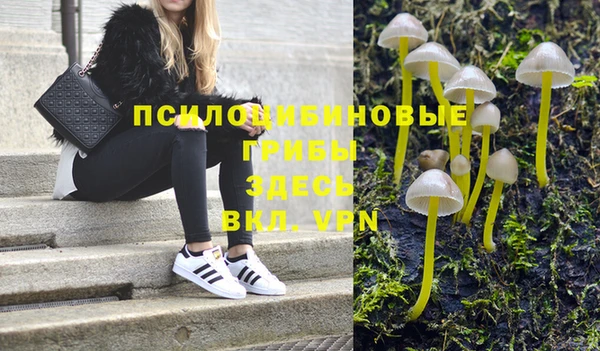 индика Аркадак