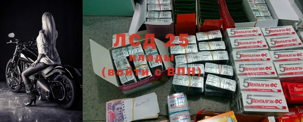 индика Аркадак